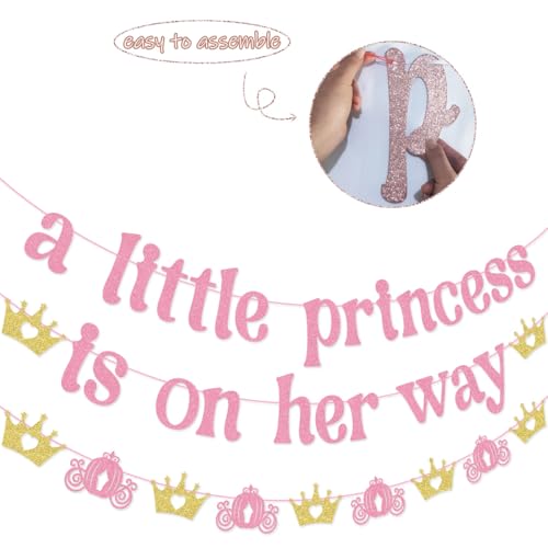 Princess Themed Girl Baby Shower Decorations: A Little Princess Is on Her Way Banner Garland
| A Little Princess Is on